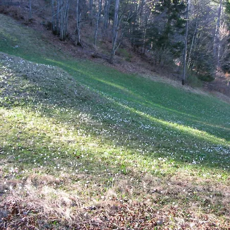 Berghauschen Fadara Zum * Seewis im Prätigau