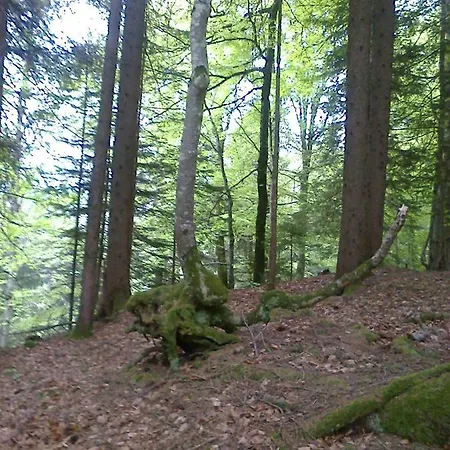 Berghauschen Fadara Zum