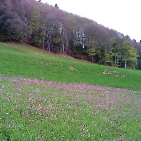 Berghauschen Fadara Zum *